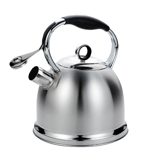 Чайник 2,9л металевий MR-1334 Maestro Житомир