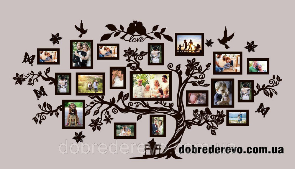 Родове дерево на 18 фотографій / Семейное дерево 18 фото Вижниця - фото 3