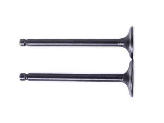 Клапани на мопед мотоцикл Альфа125СС, к-т: 2 шт. Мукачево