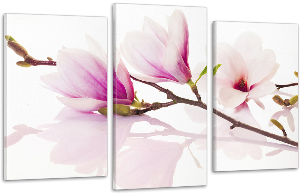 Модульная картина Цветы  Art-20_3 Киев - изображение 1