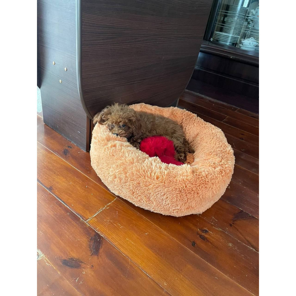 Лежанка для котів і собак «Ворс» персиковий 10045 XL (70см) Київ - фото 4