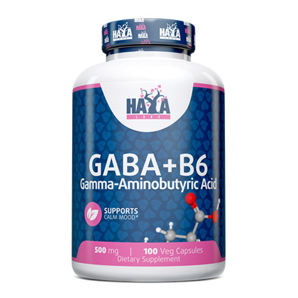 Гамма-аминомасляная кислота + Витамин В6 Haya Labs Gaba + B6 500 mg 100 caps Луцк - изображение 1