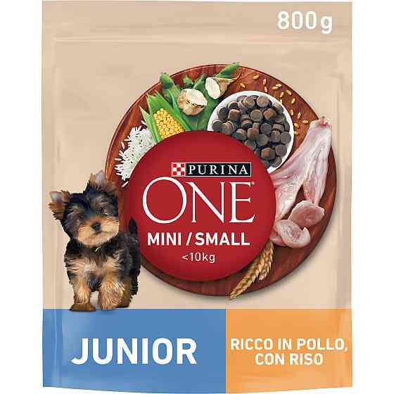 Сухой корм PURINA ONE Mini/Small Junior для щенков мелких пород, с курицей, 800 г Киев