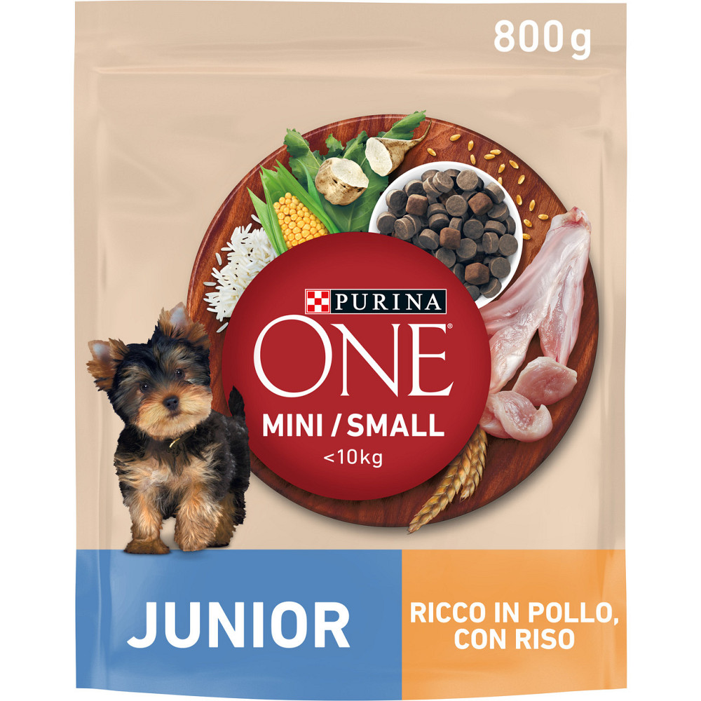 Сухой корм PURINA ONE Mini/Small Junior для щенков мелких пород, с курицей, 800 г Киев - изображение 1