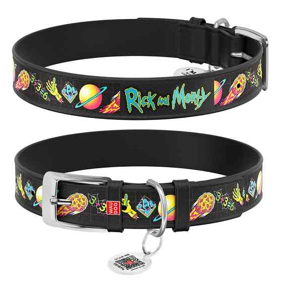 Нашийник для собак шкіряний WAUDOG Design з QR-паспортом, малюнок "Рік і Морті 3", XL, Ш 35 мм, Д 46-59 см, Вінниця