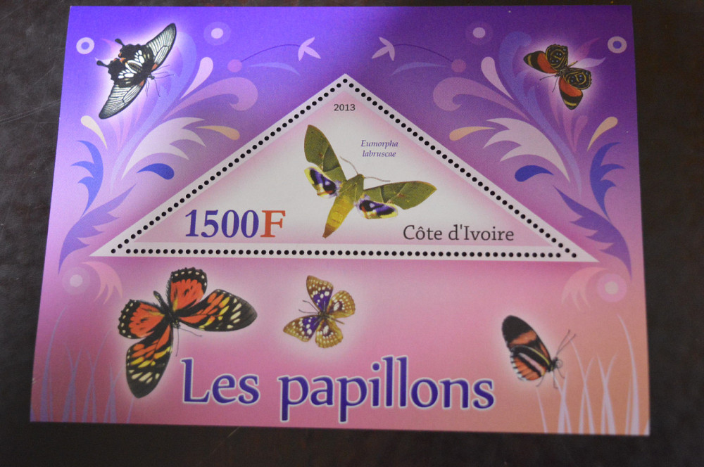 Кот-д’Ивуар. Фауна. Блок. 2014 год (А-20) Полтава - изображение 1