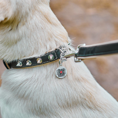 Нашийник для тварин WAUDOG Soft з QR паспортом з шипами Ш 20 мм Д 30-39 см чорний (7192) Вінниця - фото 5