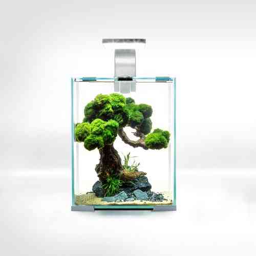 Акваріум Aquael Shrimp Set Smart для креветок прямий білий 19 л Київ