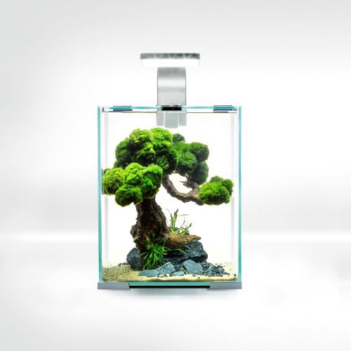 Акваріум Aquael Shrimp Set Smart для креветок прямий білий 19 л Київ - фото 2