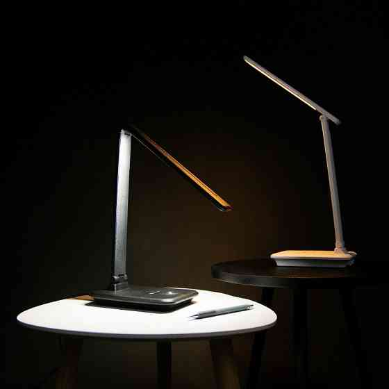 LED светильник настольный аккумуляторный с функцией повербанка 10Вт, белый Днепр