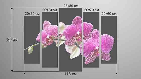 Модульна картина Орхідея Art-125_5 Київ