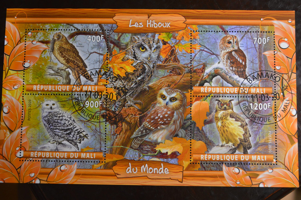 Мали. Марки. Фауна. Блок. 2020 год (В-2) Полтава - изображение 1