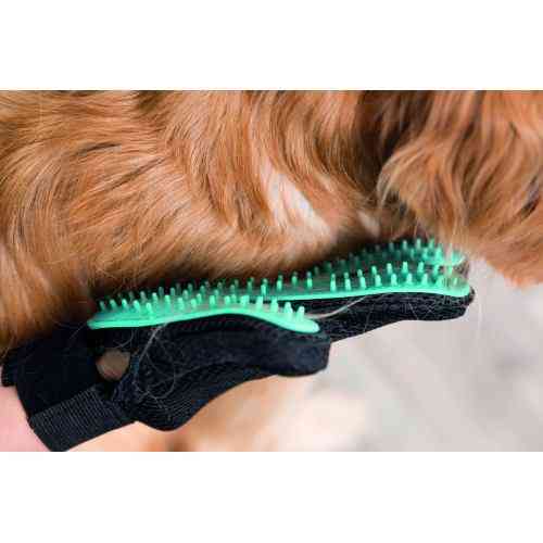 Перчатка Trixie для вычесывания шерсти резиновая/тканевая 16х24 см Киев