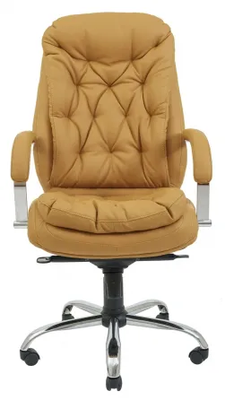 Офісне Крісло Керівника Richman Venice Fly 2205 Хром М2 AnyFix Темно-бежевий Київ