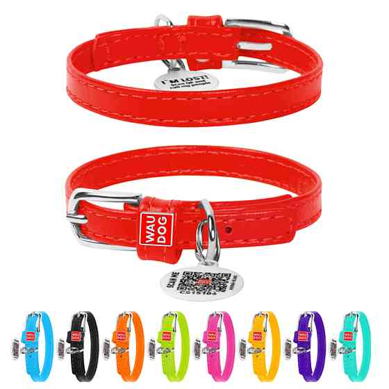 Нашийник для собак шкіряний WAUDOG Glamour з QR паспортом, без прикрас, XXS, Ш 9 мм, Дов 18-21 Коломыя