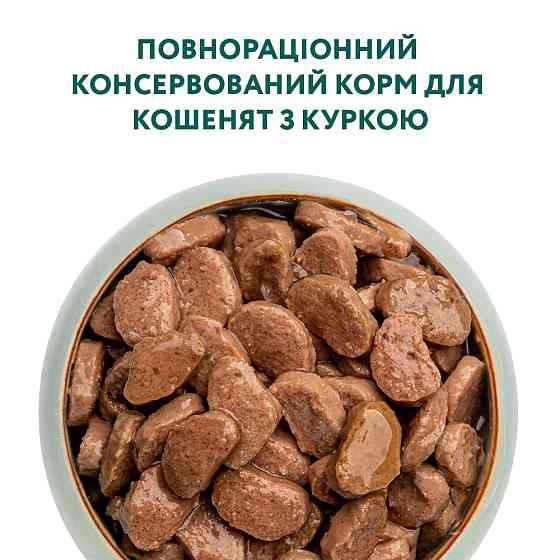 Влажный корм для котят Оптимил Optimeal с курицей в соусе (блок 12 шт x 85 г) Винница