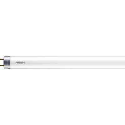 Лампочка Philips LEDtube 600mm 8W 840 T8 I RCA (929001276237) Винница