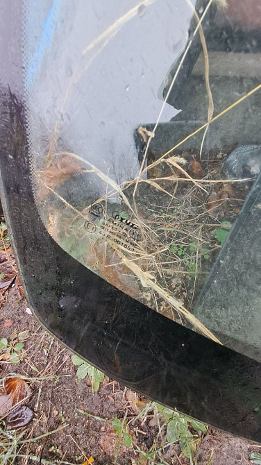 Лобовое стекло для Chevrolet Epica Киев - изображение 1