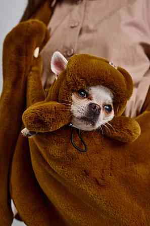 Шапка ушанка для собак меховая зимняя Dogs Bomba теплые ушки 1 Кемел Одесса