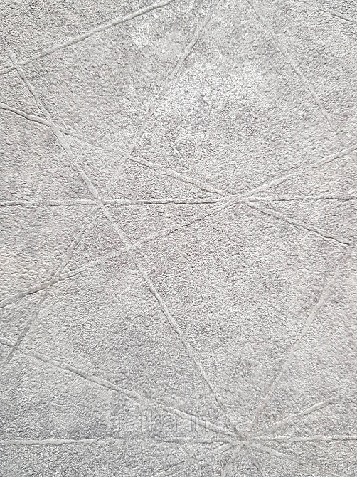 Шпалери вінілові на флізелін Rasch Composition 0,53х10 геометрія смуги фігури під штукатурку сірі з сріблом Київ - фото 2