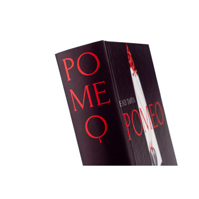 Книга Ромео - Еліз Тайтл Видавництво Старого Лева (9789664481196) Вінниця - фото 10