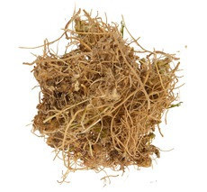 Синюха голубая (корень), 50г. MasterSEM Киев - изображение 1