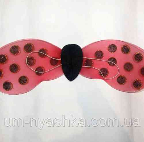 Набір Божа Корівка Крила, вусики, чарівна паличка Кривий Ріг