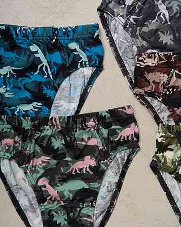Подростковые трусы на мальчика - Динозавры (5шт в уп) Nicoletta 41717 Киев