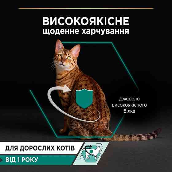 Вологий корм PRO PLAN Adult для дорослих котів, шматочки в паштеті, з куркою, 85 г Київ