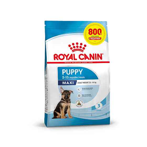 Корм для цуценят великих порід собак ROYAL CANIN MAXI PUPPY 3.2 кг + 800 г у подарунок Київ