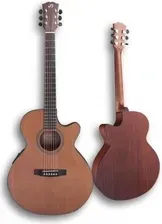 Гітара Dowina Riesling GACE Gitara elektroakustyczna Киев