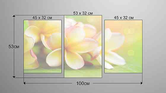 Модульная картина Цветы Art-96_3 Киев