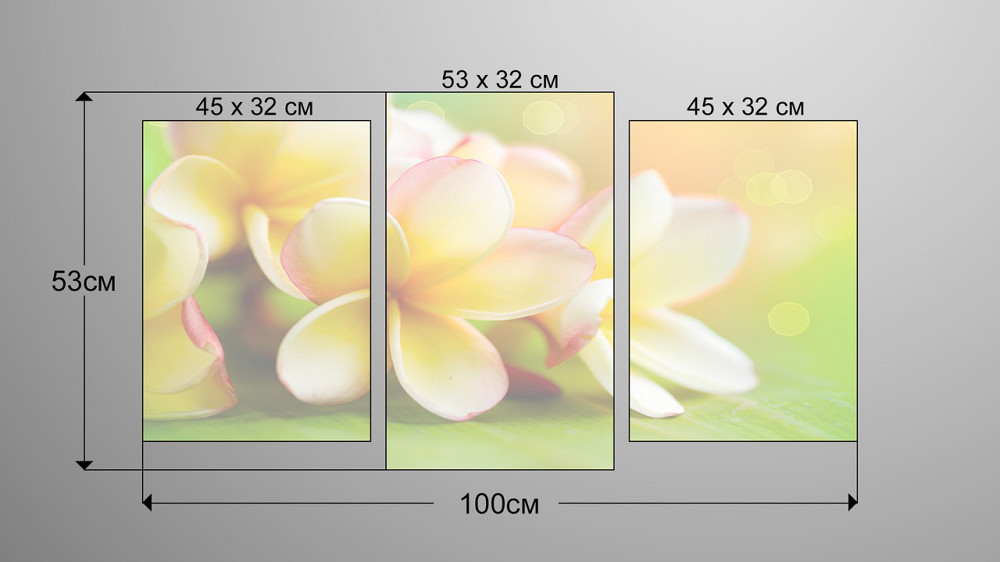 Модульна картина Квіти Art-96_3 Київ - фото 3