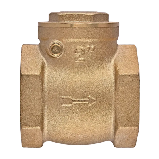 Клапан зворотній пелюстковий Koer KR.174-50 - 2" Т-подібний (KR5263)   ( 25532 ) Харків