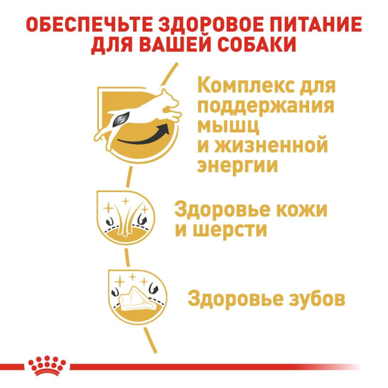 Royal Canin Jack Russel Adult (Рояв Канін Джек Рассел Едалт) корм для собак джек-сел-тер'єр від 10 місяців 1.5 кг. Запоріжжя