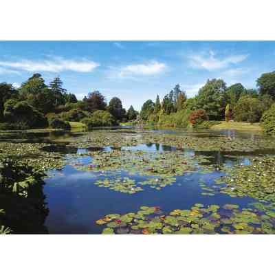 Пазл Piatnik Тихий пруд, 1000 елементів (PT-558443) Вінниця