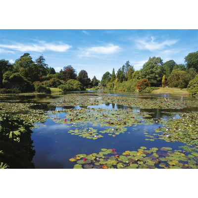 Пазл Piatnik Тихий пруд, 1000 елементів (PT-558443) Вінниця - фото 2