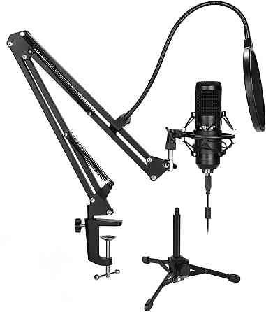 Конденсаторний мікрофон Agptek Луцк