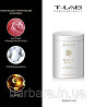 Пудра для освітлення волосся T-LAB Premier Blanc Balayage Bleaching Powder