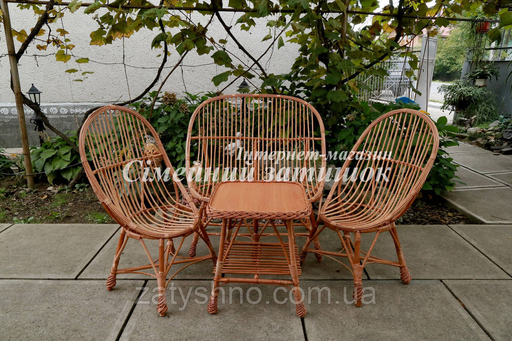 Комплект меблів із лози на вулицю Київ - фото 5