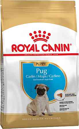 Корм для цуценят породи Мопс ROYAL CANIN PUG PUPPY 1.5 кг Київ