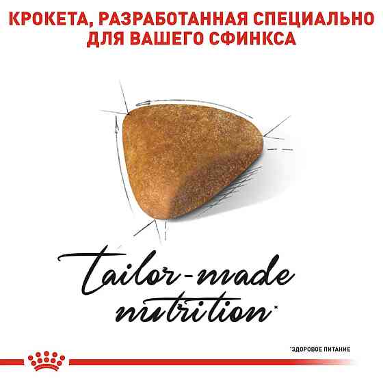 Royal Canin Sphynx Adult (Роял Канін Сфінкс Едалт) сухий корм для котів породи сфінкс від 12 місяців Запоріжжя