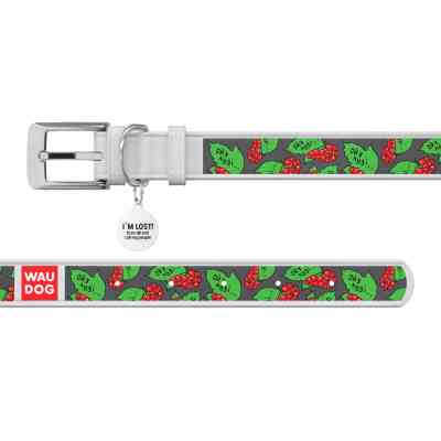 Нашийник для тварин WAUDOG Design з QR паспортом "Калина" XL Ш 35 мм Д 46-59 см (білий) (3606-0228-15) Вінниця