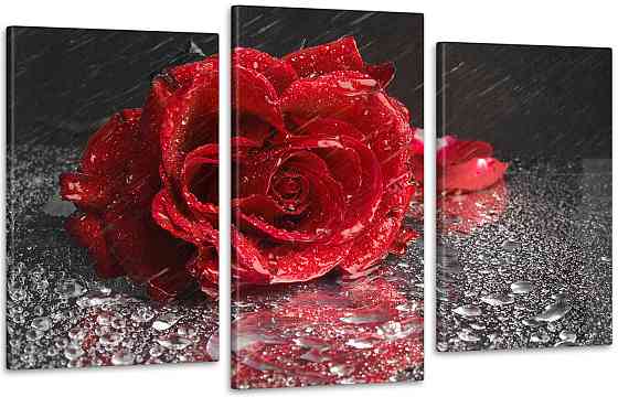 Модульна картина Квіти Роза (53х100см) Art-85_3 Київ