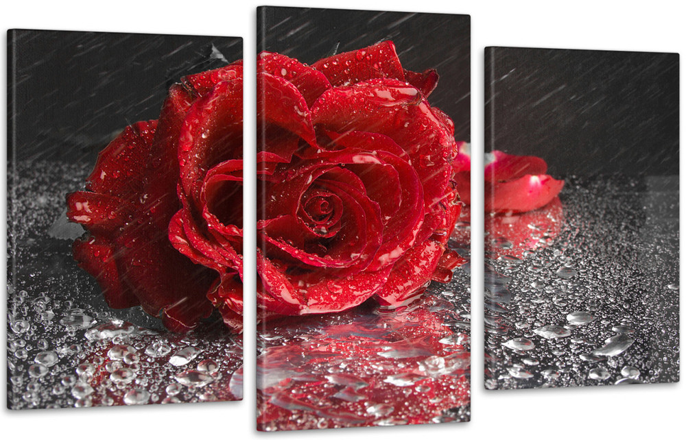 Модульная картина Цветы Роза (53x100см)  Art-85_3 Киев - изображение 1