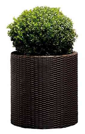 Горщик для квітів Keter 39 л. Cylinder Planter Large, коричневий Київ