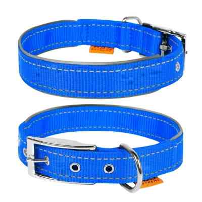 Ошейник для животных Collar Dog Extremе 25 мм 38-48 см (голубой) (67042) Винница