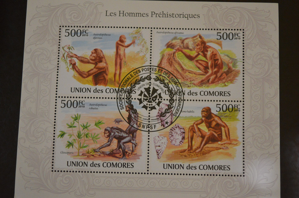 Коморы. Марки. Фауна. Блок. 2009 год (В-5) Полтава - изображение 1