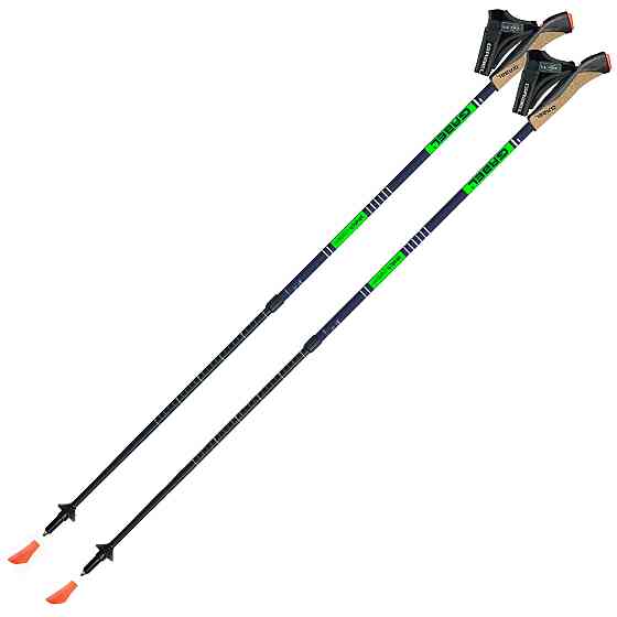 Палки для скандинавской ходьбы Gabel Stretch Carbon Lime (7008352640000) Вінниця