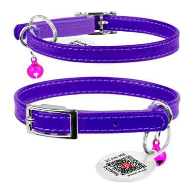 Ошейник для животных WAUDOG Glamour с QR паспортом Д 22-30 см фиолетовый (32489) Винница